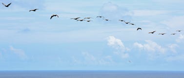 Opinión del ojo de pájaro del top de cazar el faro de la isla fotografía de archivo libre de regalías Opinión del ojo de pájaro del top de cazar el faro de la isla fotografía de archivo libre de regalías