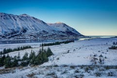 Opinión del paisaje del invierno de Islandia con el cielo azul y árboles y sunli foto de archivo Opinión del paisaje del invierno de Islandia con el cielo azul y árboles y sunli foto de archivo