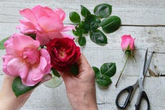 Opinión superior el decorador de sexo femenino que arregla rosas en la tabla de madera fotos de archivo Opinión superior el decorador de sexo femenino que arregla rosas en la tabla de madera fotos de archivo