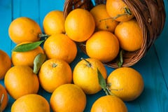 Orange frukt royaltyfri foto Orange frukt royaltyfri foto