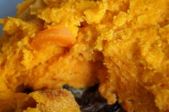orange homemade pumpkin pie stock photography orange homemade pumpkin pie stock photography