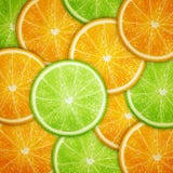 Orange and lime fruit slices background stock illustration Orange and lime fruit slices background stock illustration