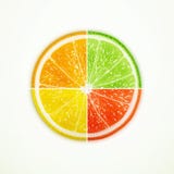 Orange, lime, lemon and grapefruit quartered royalty free illustration Orange, lime, lemon and grapefruit quartered royalty free illustration