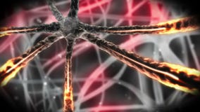 Orange neuron moving through nervous system