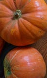 Orange pumpkins and zucchini on the floor royalty free stock photo Orange pumpkins and zucchini on the floor royalty free stock photo