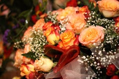 Orange Roses Royalty Free Stock Image Orange Roses Royalty Free Stock Image