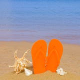 Orange Sandals And Seashells In Sand On Beach Stock Photography Orange Sandals And Seashells In Sand On Beach Stock Photography