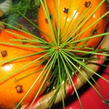 Oranges avec des feuilles et des clous de girofle de pin images stock Oranges avec des feuilles et des clous de girofle de pin images stock