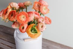 Oranje en gele Perzische boterbloemenbloemen ranunculus in grijze wijnoogst kan, ruimte kopiëren Royalty-vrije Stock Foto Oranje en gele Perzische boterbloemenbloemen ranunculus in grijze wijnoogst kan, ruimte kopiëren Royalty-vrije Stock Foto
