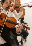 Orchestra string section performing royalty free stock photography Orchestra string section performing royalty free stock photography