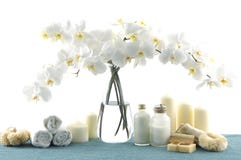 orchid στοκ φωτογραφία με δικαίωμα ελεύθερης χρήσης orchid στοκ φωτογραφία με δικαίωμα ελεύθερης χρήσης