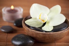 orchid λευκό στοκ φωτογραφία με δικαίωμα ελεύθερης χρήσης orchid λευκό στοκ φωτογραφία με δικαίωμα ελεύθερης χρήσης