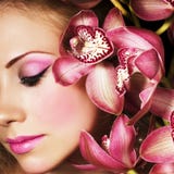 Orchidee dentellare Fotografie Stock Libere da Diritti Orchidee dentellare Fotografie Stock Libere da Diritti
