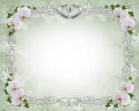orchids κισσών πρόσκλησης συνόρ&omeg orchids κισσών πρόσκλησης συνόρ&omeg