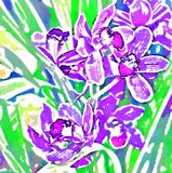 Orchidée Stylization d'aquarelle image numérique illustration libre de droits Orchidée Stylization d'aquarelle image numérique illustration libre de droits
