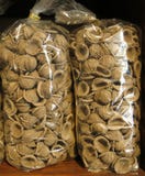 Orecchiette pasta royalty free stock image Orecchiette pasta royalty free stock image