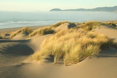 Oregon Coast Portraits Royalty Free Stock Images Oregon Coast Portraits Royalty Free Stock Images