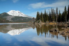 oregon stående arkivbild oregon stående arkivbild