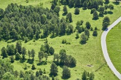 Orest äng en väg och några kor, Hohe trollstav, Österrike royaltyfri fotografi Orest äng en väg och några kor, Hohe trollstav, Österrike royaltyfri fotografi