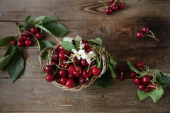 Org?nico fresco una rama de cerezas dulces con hojas verdes en el fondo r?stico de madera Concepto sano del alimento Visi?n super fotos de archivo Org?nico fresco una rama de cerezas dulces con hojas verdes en el fondo r?stico de madera Concepto sano del alimento Visi?n super fotos de archivo