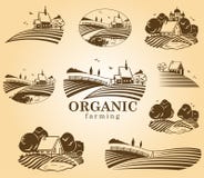 Organic Farming Design Elements. Royalty Free Stock Photos