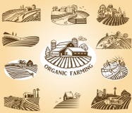 Organic Farming Design Elements. Royalty Free Stock Photo