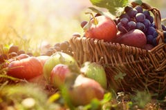 Organic fruit in summer grass
