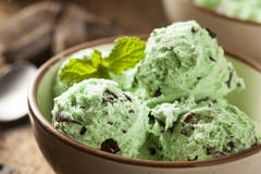 Organic Green Mint Chocolate Chip Ice Cream Royalty Free Stock Images