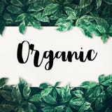 Organic leaves background design with white paper royalty free illustration Organic leaves background design with white paper royalty free illustration