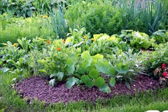 Organic vegetable garden bed