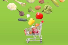 Organic Vegetables Fall In Basket. Green Background Stock Photography