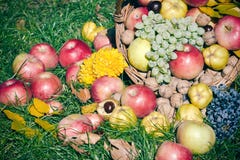Organicznie, sezonowy, jesieni owoc w łozinowym koszu na trawie Fotografia Stock Organicznie, sezonowy, jesieni owoc w łozinowym koszu na trawie Fotografia Stock