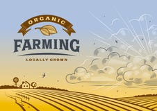 Organicznie Uprawia ziemię krajobraz royalty ilustracja Organicznie Uprawia ziemię krajobraz royalty ilustracja