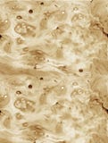 Organische stromende de textuurachtergrond van de Burl houten toon stock illustratie Organische stromende de textuurachtergrond van de Burl houten toon stock illustratie