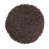 Organiska heliga Basil Seed Ocimum tenuiflorum eller Tulsi i cirkeln Shape royaltyfria bilder Organiska heliga Basil Seed Ocimum tenuiflorum eller Tulsi i cirkeln Shape royaltyfria bilder