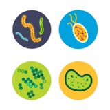 Organismo di microbiologia dell'icona dei microbi del virus dei batteri e malattia umani isolati microscopici di biologia di infe illustrazione vettoriale Organismo di microbiologia dell'icona dei microbi del virus dei batteri e malattia umani isolati microscopici di biologia di infe illustrazione vettoriale