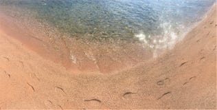 Orme dei piedi umani sulla sabbia vicino all'acqua sulla spiaggia fotografia stock Orme dei piedi umani sulla sabbia vicino all'acqua sulla spiaggia fotografia stock