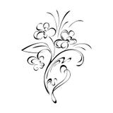 Ornament 339 ilustracji Ornament 339 ilustracji