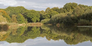 The Ornamental Pond, Southampton Common Royalty Free Stock Photos The Ornamental Pond, Southampton Common Royalty Free Stock Photos