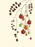 Ornamentos libre illustration Ornamentos libre illustration