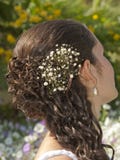 Ornate Hair Style On A Bride Stock Photography
