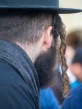 Orthodox Jew at the Western Wall, Jerusalem