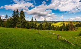 Os campos rurais em montes nas montanhas aproximam a floresta fotos de stock Os campos rurais em montes nas montanhas aproximam a floresta fotos de stock