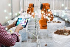 Os fazendeiros robóticos espertos colhem na automatização futurista do robô da tecnologia agrícola para trabalhar o aumento da te imagens de stock Os fazendeiros robóticos espertos colhem na automatização futurista do robô da tecnologia agrícola para trabalhar o aumento da te imagens de stock