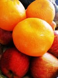 Os frutos sazonais frescos coloridos imagens de stock Os frutos sazonais frescos coloridos imagens de stock