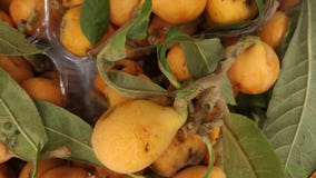 Os Loquats alinharam na mercearia imagens de stock Os Loquats alinharam na mercearia imagens de stock