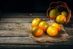 Os mandarino das tangerinas, clementina, citrinas com as folhas sobre o fundo de madeira rústico com espaço da cópia imagem de stock royalty free Os mandarino das tangerinas, clementina, citrinas com as folhas sobre o fundo de madeira rústico com espaço da cópia imagem de stock royalty free