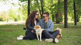 Os pares loving entusiasmado dos jovens fussing o inu bonito do shiba do cão que risca sua pele, falando e rindo o assento sobre filme Os pares loving entusiasmado dos jovens fussing o inu bonito do shiba do cão que risca sua pele, falando e rindo o assento sobre filme
