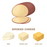 Os tipos diferentes de ícones ajustados da coleção do queijo no estilo dos desenhos animados vector o símbolo Foto de Stock