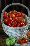 Os tomates maduros e verdes frescos estão na cesta fotos de stock Os tomates maduros e verdes frescos estão na cesta fotos de stock